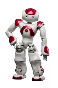 Nao is a humanoid robot, approx. 50 cenitimeters tall. 